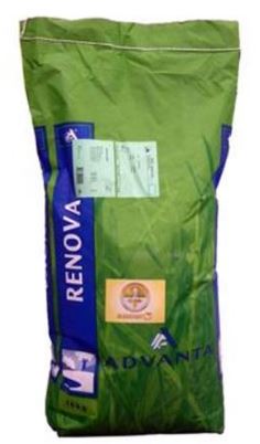 Graszaad sportgazon Renova Headstart 10 kg