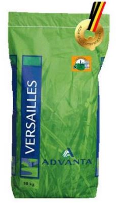 Graszaad speelgazon Versailles met Headstart 10 kg