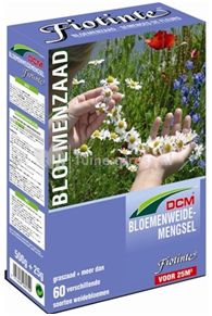 DCM Bloemenzaad Fiotinte 0,525 kg